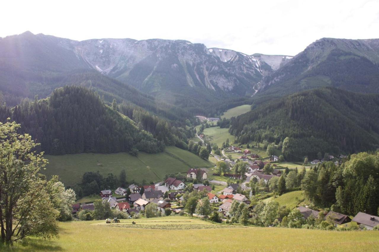 Altenbergerhof Neuberg an der Muerz ภายนอก รูปภาพ